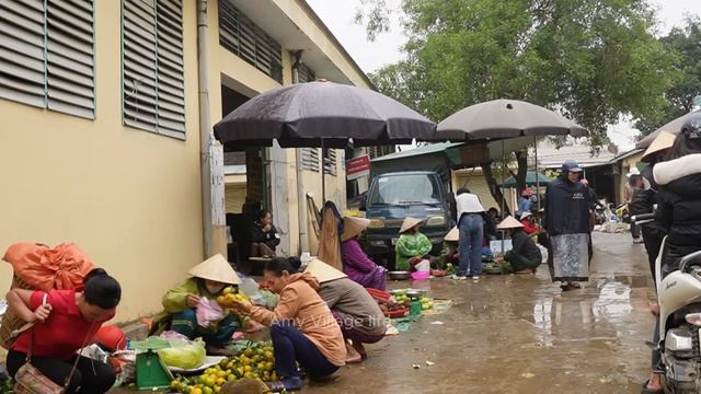Amy Sell Turmeric, Ginger And Jack Fruits. Life In Mountain Forest. Amy Village Life