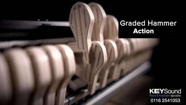 Grand Hybrid Action смотреть онлайн