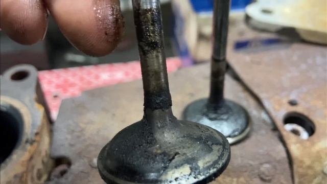 MAN TGM D0836 LFL65 Repair