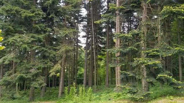 Не желай "УДАЧИ"! Значение этого слова в ПРАВОСЛАВИИ. Народные приметы и суеверия. смотреть онлайн