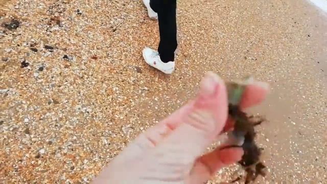 ПЕСКИ АНАПЫ #2?/Прогулялись/Намерзлись/Пособирали ракушки☺️