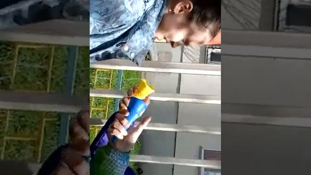 Школьные приколы на улице Симкая Кристина смотреть онлайн