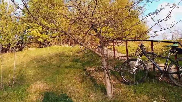 На природе вечером. смотреть онлайн