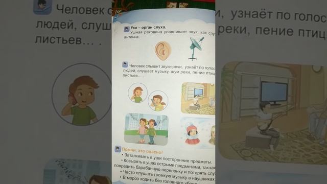 Основы безопасного поведения смотреть онлайн
