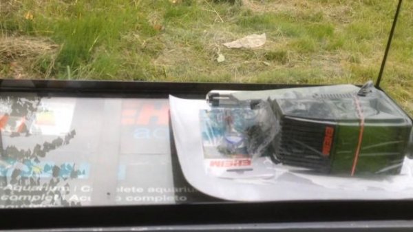 Обзор аквариума Eheim aquastar 54 LED