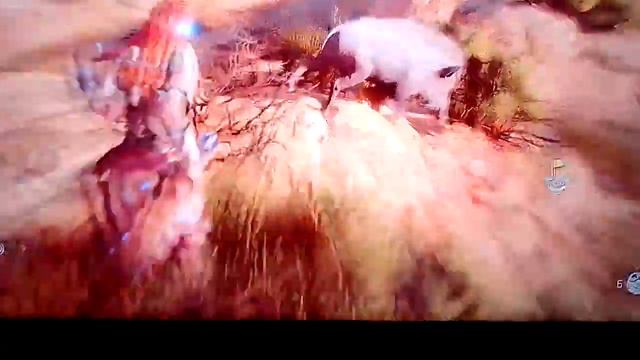 Horizon zero dawn баг, неубиваемый кабан смотреть онлайн