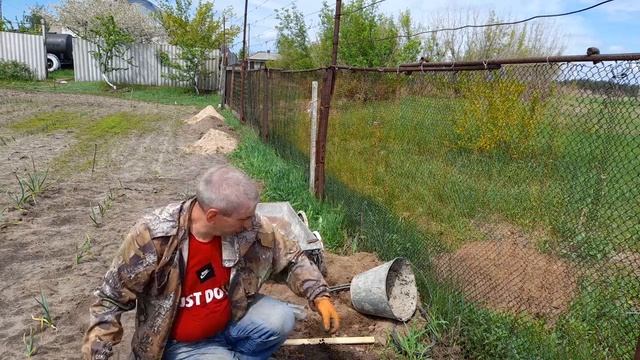 Посадка винограда на неплодородных почвах смотреть онлайн