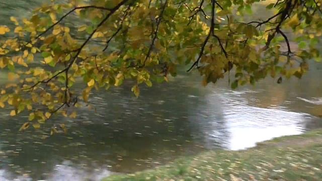 Дорожки Харитоновского парка. Екатеринбург. смотреть онлайн