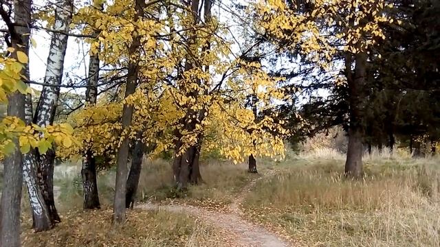 "России стихотворная душа" 125 лет со дня рождения С. А. Есенина смотреть онлайн
