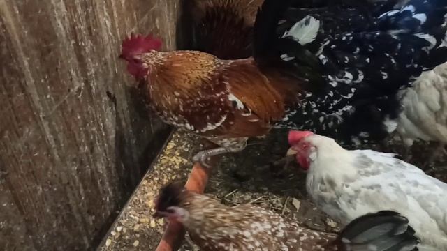 ЖИЗНЬ НА ЭТОМ НЕ ЗАКАНЧИВАЕТСЯ