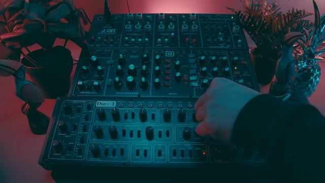 Behringer Pro 1, Model D & Cat - Deep House Performance смотреть онлайн