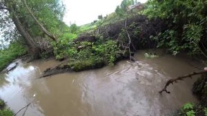 РЫБАЛКА в ЛУЖЕ на ПОДЪЁМНИК ( ХАПУГУ, ПАУК )