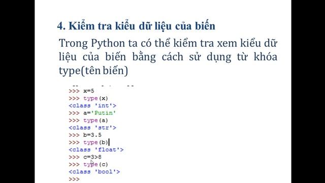 Các kiểu dữ liệu và khai báo biến trong Python смотреть онлайн