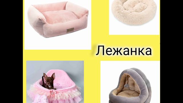💮ВыбИРашки🌸