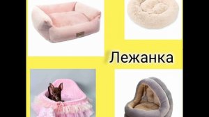 💮ВыбИРашки🌸