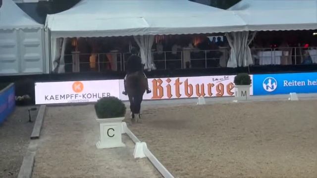 Nicole Smith at Perl-Borg 2015 смотреть онлайн