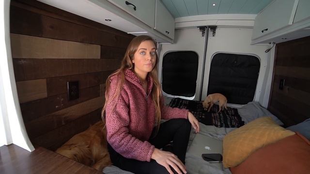 Van Tour: Solo Female, Entrepreneur, Lover of Dogs. Traveling in a Ford Transit Van Home on Wheels смотреть онлайн