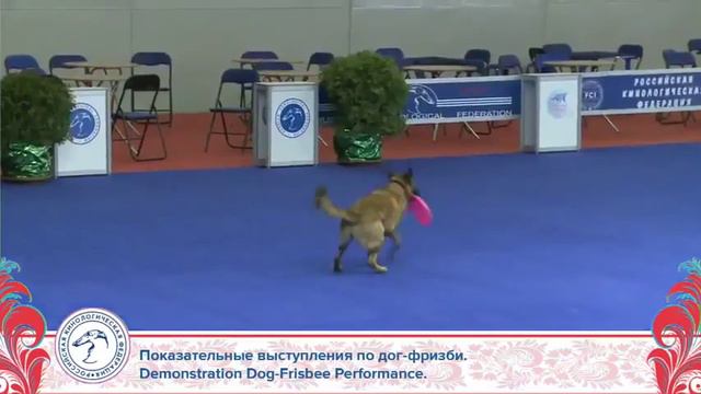 Дог Фризби на Евразии 2015 смотреть онлайн