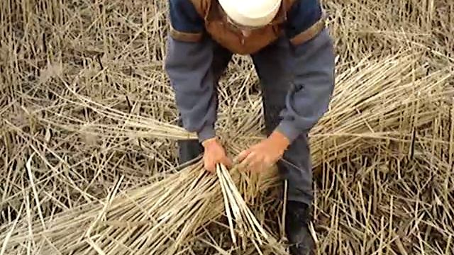 Как связать сноп камыша? смотреть онлайн