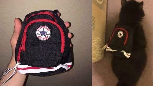 Самые провальные интернет покупки в 2017 году смотреть онлайн