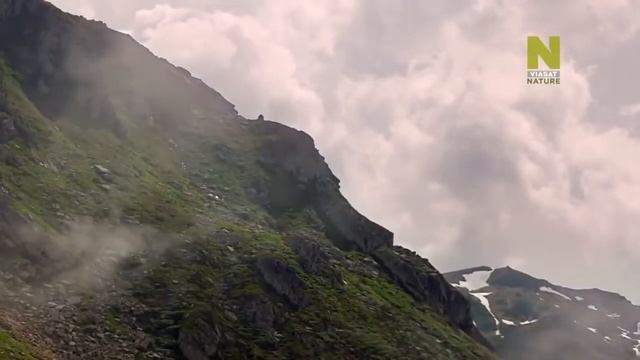 Дикая природа Швейцарии: пейзажи, ландшафты. (2)