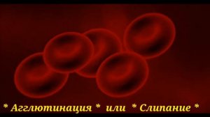 КАК МОЖНО ОПРЕДЕЛИТЬ ГРУППУ КРОВИ? ЧТО ТАКОЕ АГГЛЮТИНАЦИЯ? КТО ТАКОЙ ДОНАР? КАК ПЕРЕЛИВАТЬ КРОВЬ?
