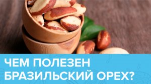 БРАЗИЛЬСКИЙ ОРЕХ: от каких опасных болезней он может защитить? | Доктор 24