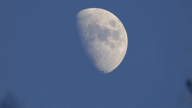 2021-12-12 - Full (Filmed with Panasonic FZ70 Camera) смотреть онлайн