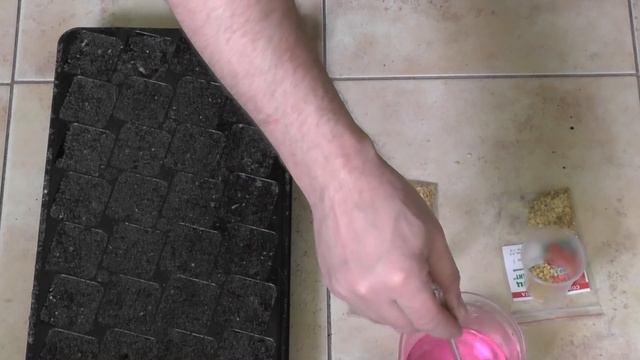 СЕЕМ ПЕРЕЦ НА РАССАДУ В ФЕВРАЛЕ смотреть онлайн