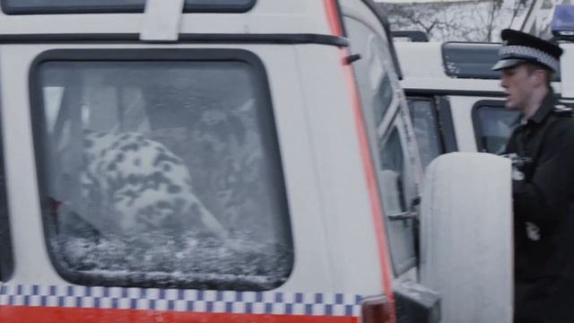 101 далматинец 1996 г (Злодеи пойманы.Щенки спасены) смотреть онлайн