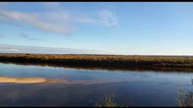 781/ Потерю брата я пережила ещё раз. 2-я часть рассказа. Читаю я - автор. смотреть онлайн