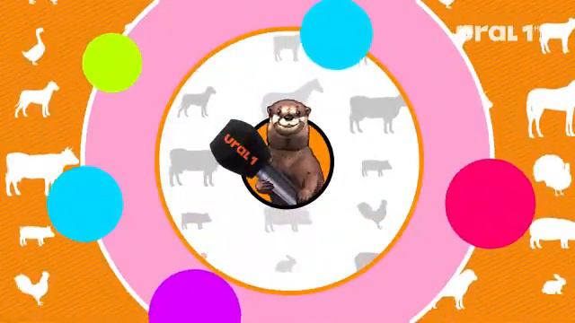 Челябинский зоопарк смотреть онлайн