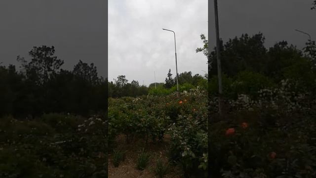 О пространстве санатория, где проводили марафон майский! Любуйтесь. Тараканова Ольга. смотреть онлайн