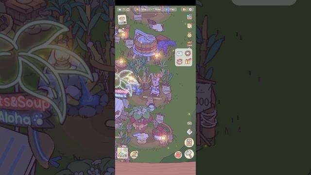 Начало дня. Кошки и суп.