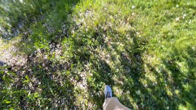 влог | будни | овсяные оладушки на завтрак смотреть онлайн