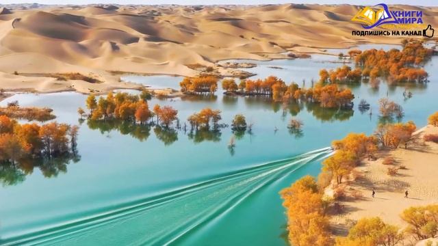 Самая Лучшая Аффирмация Для Просветления Которая Всегда Работает! l НИКОШО и Экхарт Толле смотреть онлайн