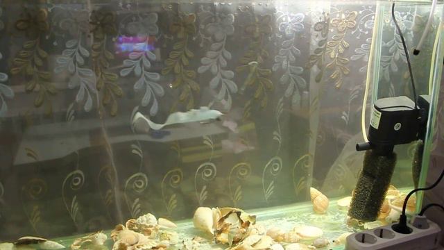 Relax Viper 85,0 мм до загиба 750 00 руб смотреть онлайн