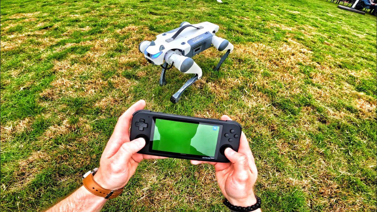 2024 THE ROBOT CAT - POV TEST DRIVE смотреть онлайн