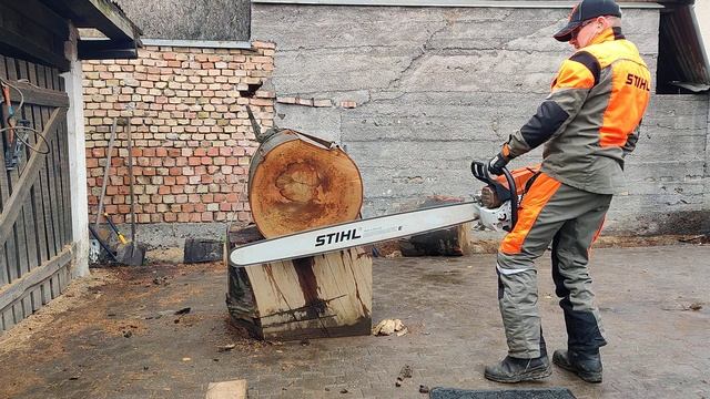 Stihl MS 881: cold start and trial cut. смотреть онлайн