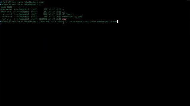 Introduction to Mizu: the API Traffic Viewer for Kubernetes смотреть онлайн