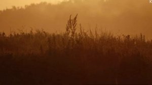 «Маленький» - Дайте Танк