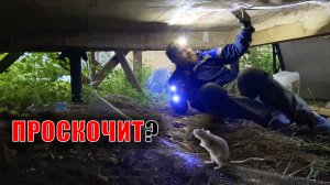 Сетка от грызунов - Рассказываю и показываю всё, что знаю