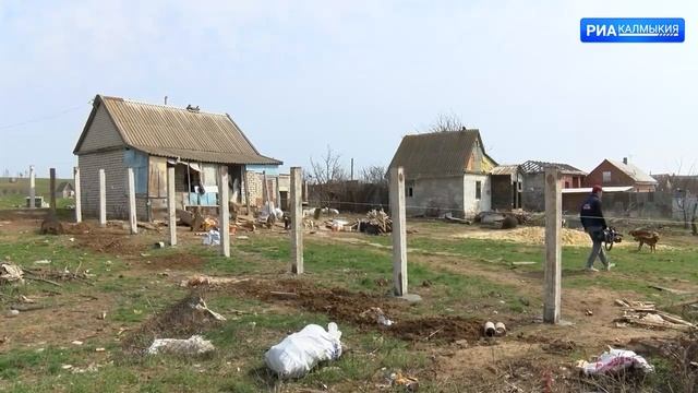 Бродячие собаки.Как решают эту проблему в Элисте? смотреть онлайн