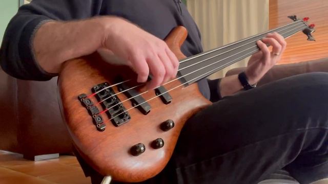 Warwick Thumb NT4FL смотреть онлайн