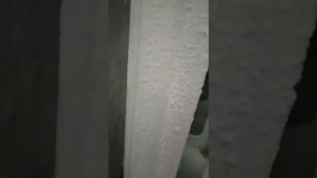 как найти попугая в доме.Як знайти попугая вдома смотреть онлайн