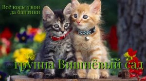 Все косы твои да бантики