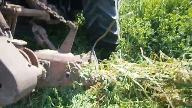 Трактор МТЗ 920 Беларус косит траву люцерну на сено. Сегментная косилка. Segment Lawn Mower.
