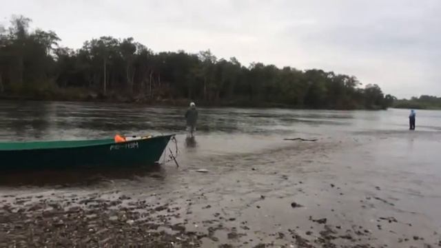 Рыбалка кижуча с берега. Камчатка. смотреть онлайн