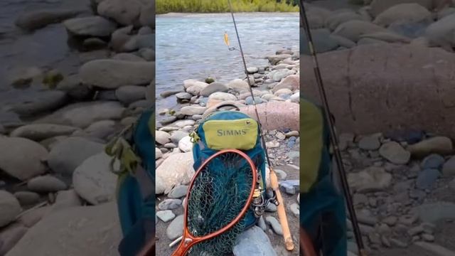 Время ловить форель ? #рыбалка #simms #trout #troutfishing #рыбалка2021 #форель смотреть онлайн