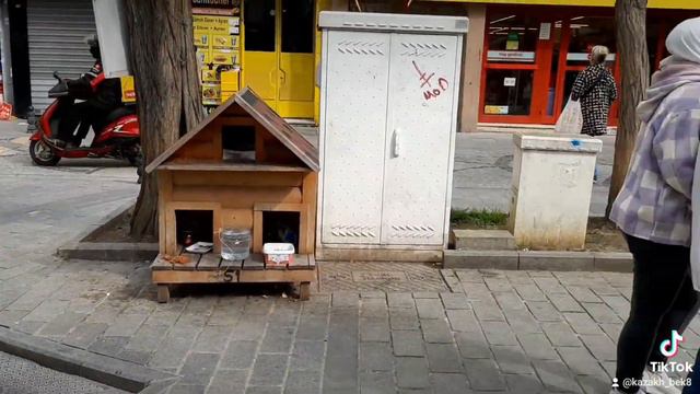 Стамбуле на улице стоит дом для кошек ещё корм смотреть онлайн